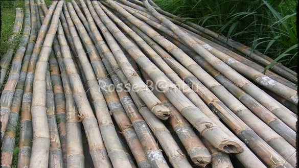 blog images
