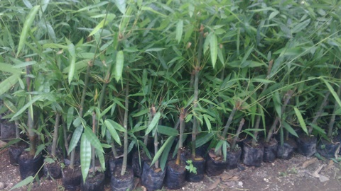 blog images